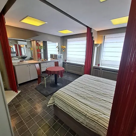 Beautyd Studio Double Bed And 1 Folding Bed Max 3Pers *